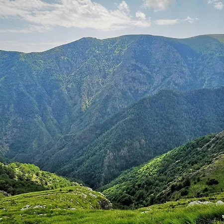 One-bedroom And Modern * بلوفديف