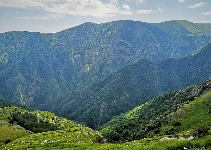 One-bedroom And Modern * 普罗夫迪夫